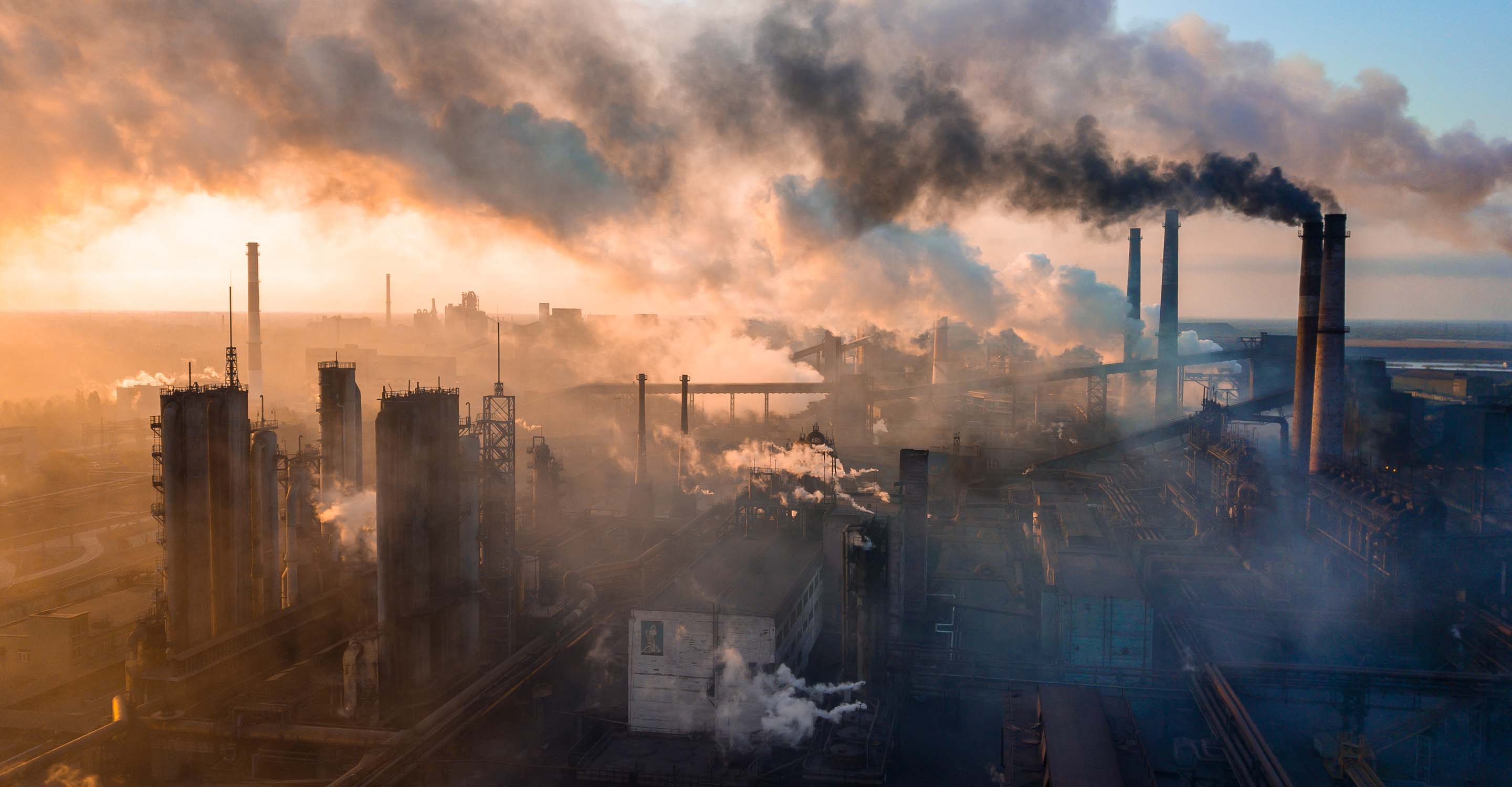 Air Pollution: A Major Factor in Dementia Risk, Regardless of Genetic Background