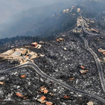 Algeria Fires