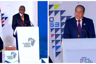 Sisi Dangote